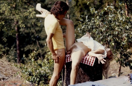 Collage of vintage pornstars having hard sex the way they did back in the day 94072125
